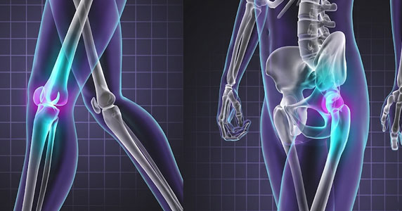 Hip & Knee Replacement