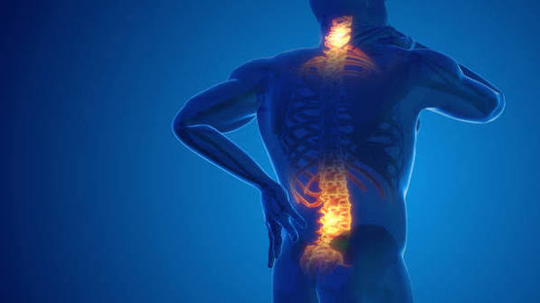 Neck and Back Pain Doctor in Kalyan