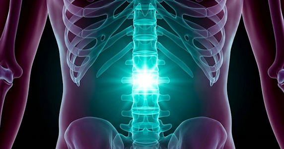 Spine Infections